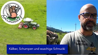 FarmVLOG#68 - Kälber, Schumpen und wuschige Schnucki