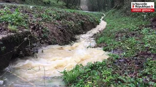 VIDÉO. Vienne. Les inondations en images