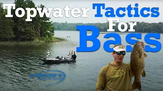 Topwater Tactics For Bass!