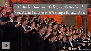 J.S. Bach: "Durch dein Gefängnis, Gottes Sohn" | Windsbacher Knabenchor & Freiburger Barockorchester