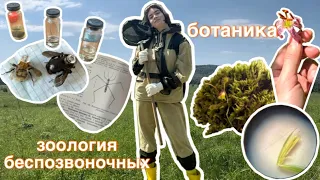 ЛЕТНЯЯ ПРАКТИКА БИОЛОГОВ // 1 курс // видеодневник