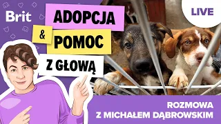 LIVE z Michałem Dąbrowskim: Jak pomagać mądrze? - Brit Polska