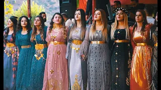 Şiyar Berwari - Andaç Köyü Düğünü Şexanıya Oremarıya  [ 2023 ©  ] شيار برواري