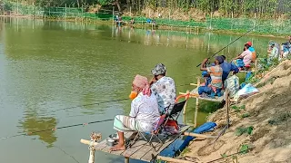 প্রচন্ড গরমে গ্রামের পুকুরে বড় বড় মাছ শিকার | Big Fish Hunting | Fishing Video | Hook Fishing