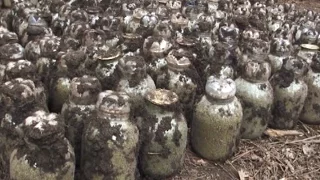 На Прикарпатті під землею знайшли 275 скляних банок з наркотиками