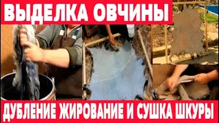 Дубление, жирование, сушка и разминание шкуры  Выделка овчины. Часть 4