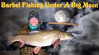 Barbel Fishing Under The Big Moon (Video 245)