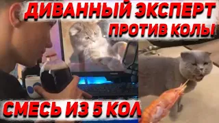 ЧТО БУДЕТ ЕСЛИ СМЕШАТЬ ВСЕ КОЛЫ В ОДНУ // Ищем лучшую замену Колы