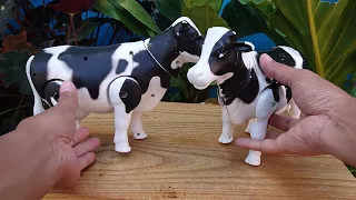 Waow Amazing Unboxing Cows And The Stuff