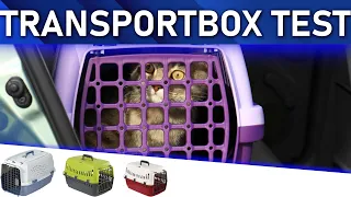 ➤ Transportbox Test 2023 | Die besten 3 Transportboxen