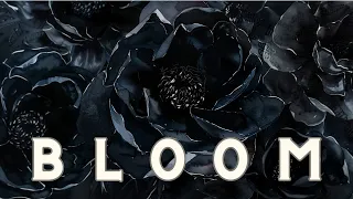 BLOOM - Generative #ambientmusic