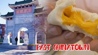Things To Do in East Chinatown | Toronto Chinatown Food Tour | Matt's Megabites
