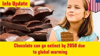 Chocolate can go extinct by 2050  due to global warming