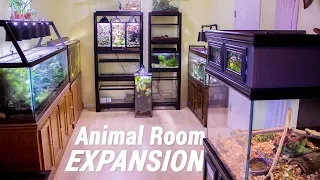 HUGE Animal Room Expansion part 1