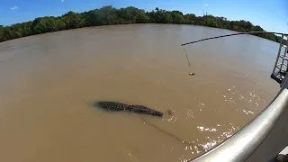 Adelaide River Jumping Crocodiles