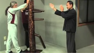 Wing Chun Dummy Intro