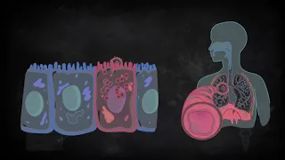 الكوفيد -19 (مرض كورونا المستحدث 2019) - COVID-19 (Coronavirus Disease 19)