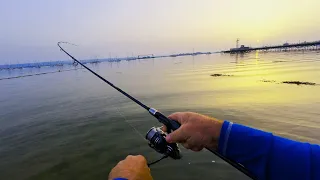 Bass Fishing At Night With Lures | I Will Figure This Out!