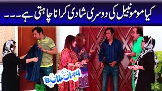 Kiya Momo Nabeel Ki Dusri Shadi Karana Chahti Hai | Bulbulay