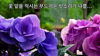 The gentle sound of rain wetting the flower leaves makes me...