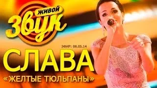 Слава - Желтые тюльпаны ( шоу "Живой звук" , 08.05.14)