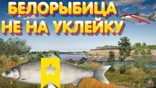 ТРОФ Белорыбица НЕ на уклейку | р. Ахтуба | Русская Рыбалка 4