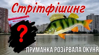 ЗВІДКИ ТУТ СТІЛЬКИ РИБИ!? ТОП-3 проводки для окуня влітку! Стрітфішинг ПО-КИЇВСЬКИ!