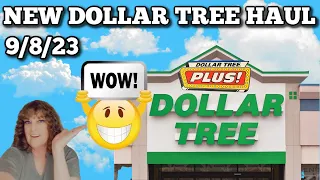 New Dollar Tree Haul 9/8/23