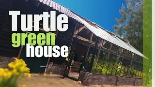 Amazing Turtle Greenhouse and outdoor enclosure @terrariumchannel