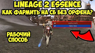 Как фармить на СБ без серьги орфена после патча в Lineage 2 Essence?