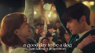 a good day to be a dog | han haena x jin seowon