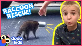 It Takes A Whole Neighborhood To Rescue This Raccoon's Head From A Can | Rescued! | Dodo Kids