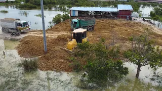 Wonderful! Great Team work! Processing Dozer KOMATSU Pushing soil clear land with DumpTrucks