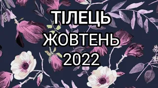 ТІЛЕЦЬ ЖОВТЕНЬ 2022