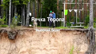 Торопа с птичьего полета