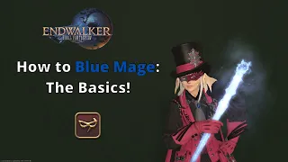 How to Blue Mage: ALL The Basics!