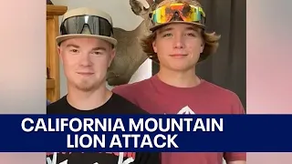 Brothers identified in California mountain lion attack