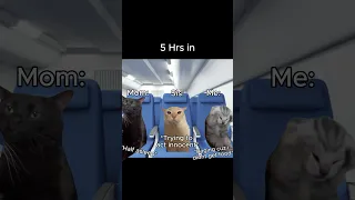 POV: flying in airplane #cat #viral #memes #relatable #shorts