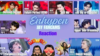 Enhypen: JAY Fancams | Blessed-Cursed, Future Perfect, Upper Side Dreamin, and more | Reaction