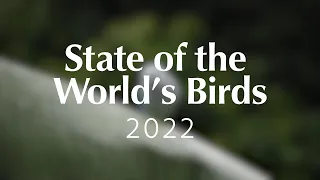 State of The World's Birds 2022