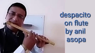 Luis Fonsi - Despacito ft. Daddy Yankee on flute by anil asopa