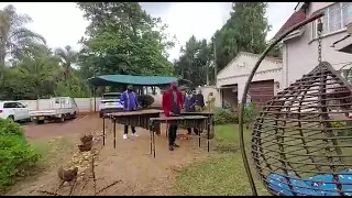 Amazing Marimba sound Africa Zimbabwe Video.