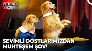 Yetenekleriyle Şaşırtan Sevimli Dostlarımız 😍 | Yetenek Sizsiniz Türkiye