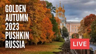 Golden Autumn in Pushkin. St Petersburg, Russia. LIVE