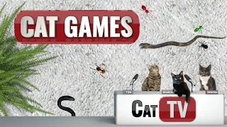 CAT Games TV | BACKYARD CRITTERS- Birds, Spiders, Mice, Snakes  | Videos For Cats to Watch | 🐍