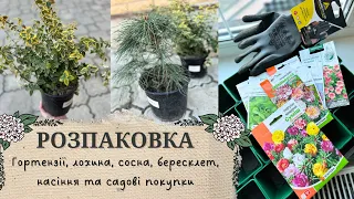 Розпаковка посилки з ГОРТЕНЗІЯМИ 🌸 Нові РОСЛИНИ з Садового Центру 🪴 Огляд Покупок для САДІВНИЦТВА 🛍