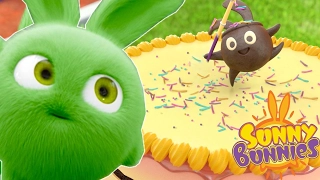 Sunny Bunnies | GATEAU MAGIQUE | Cartoons drôles pour les enfants | Dessin animé