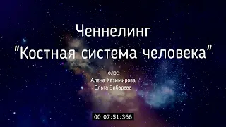 ЧНЛ Костная система человека