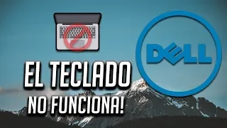 Solucion - Teclado de Mi Dell Laptop no Funciona en Windows 10/8/7 [2024]