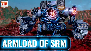 Tiny brawler with monster cooldown quirks! - Kit Fox - Mechwarrior Online